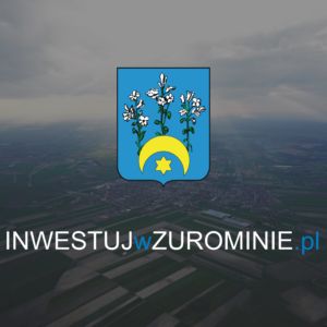 Grafika Inwestujwzurominie.pl
